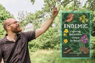 Endemic by James Harding-Morris 