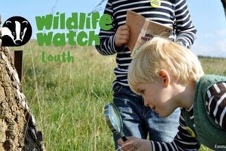 wildlife watch louth nature detectives