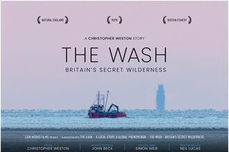 The Wash film graphic