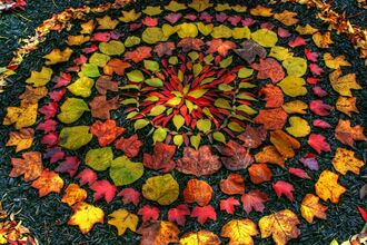 autumn leaves mandala