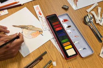 robin drawing workshop