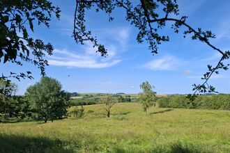 Silverines Meadow from the gate on Ranyard Lane