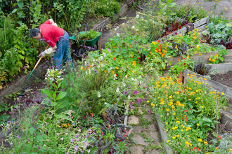 Community garden