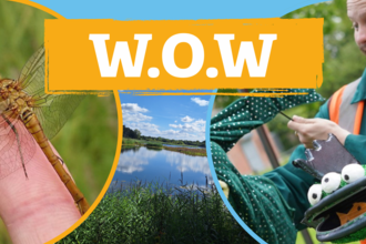 Wonders of Whisby event banner