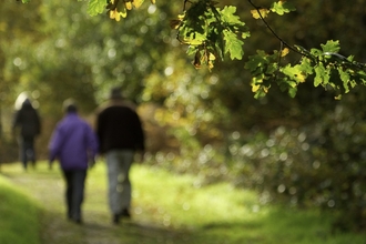 Couple walking down path through woodland, The National Forest, UK