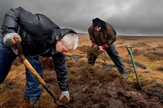 RSPB volunteers carrying out conservation work on moorland