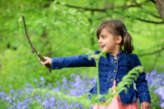 Bluebell woods