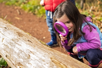 Child investigating log