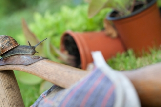 Gardening with wildlife, snail on gardening gloves with pot plants behind