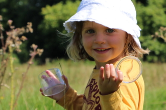 Bug hunt