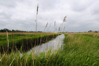 Great Fen Project