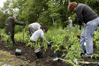 Community Gardening