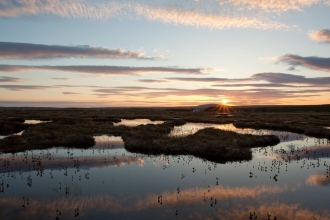Dawn sky over peatbog landscape