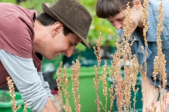 Community Gardening