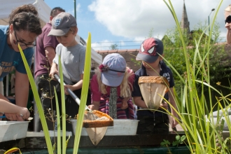 Children pond dipping