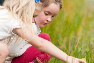 Pond dipping