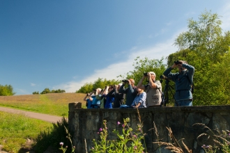 Guided walk