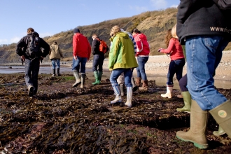 Guided coastal walk