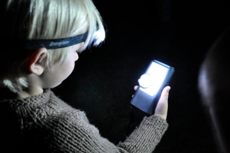 Bat detecting