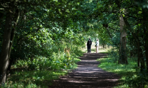 Walking