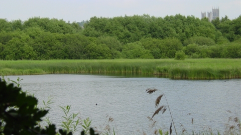 Boultham Mere