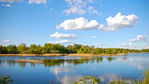 Whisby Nature Park