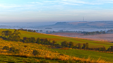 Wood Farm Lincolnshire Wolds