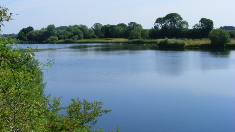 Kirkby Gravel Pit