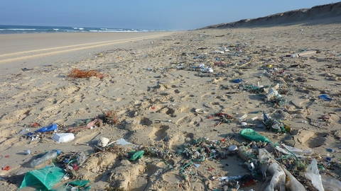 Marine plastics