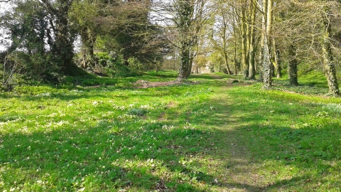 Mill Hill Quarry