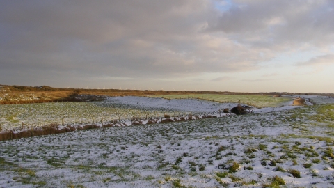 Anderby Marsh