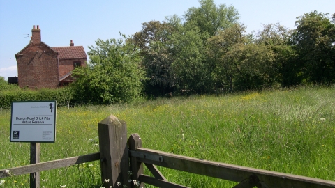 Boston Road Brick Pits