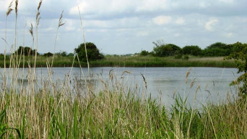 Chapel Pit