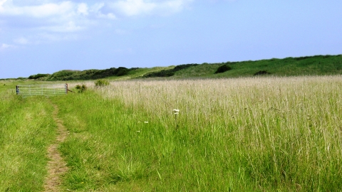 Chapel Six Marsh