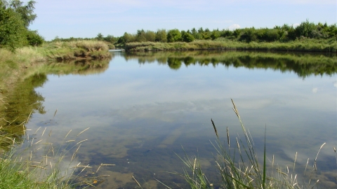 Moulton Marsh