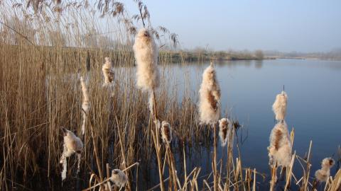 Deeping Lakes