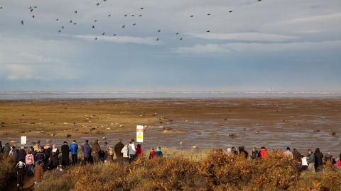 Donna Nook