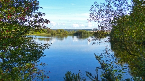 Messingham Sand Quarry