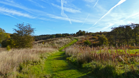 Snipe Dales