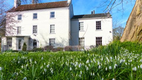Banovallum House
