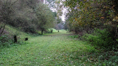 Toft Tunnel