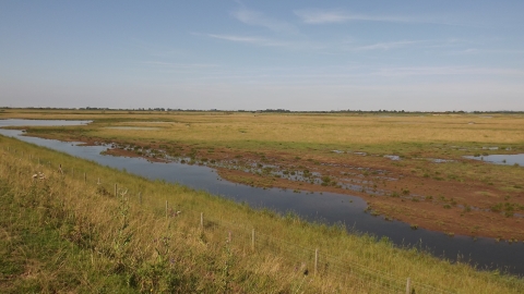 Frampton Marsh