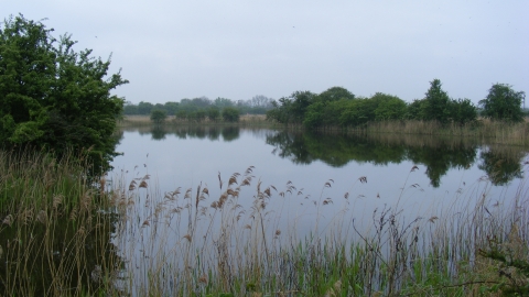 Barrow Haven