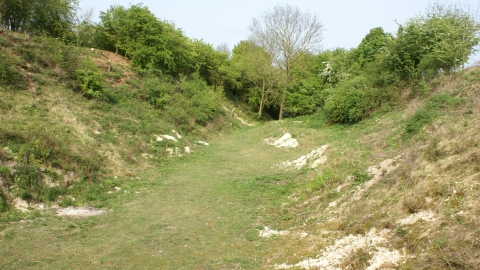 Fir Hill Quarry