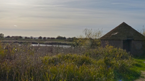 Fiskerton Fen