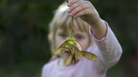 Girl with seed
