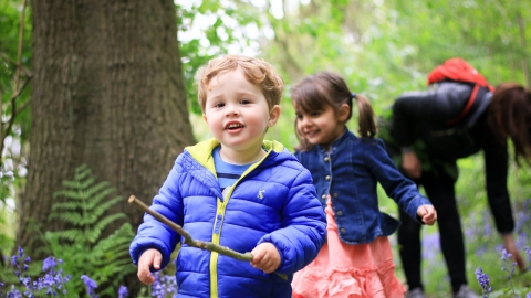 Children exploring woodland