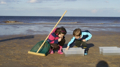 Sea Dipping