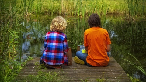Pond dipping