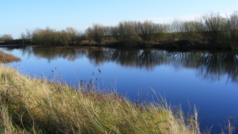 Moulton Marsh